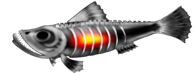 Logo fish